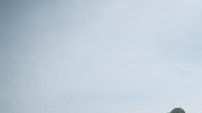 Los migrantes siguen su camino hacia la Ciudad de México.