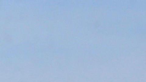 Los oficiales hicieron un ejercicio antimotines.