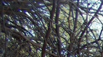 El auto accidentado. EFE