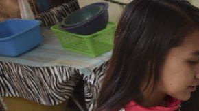 El modelo de las cajas de Finlandia ha sido copiado en otros países como México.