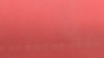 Los jóvenes se pueden beneficiar de un programa escolar que les enseña a manejar y es valido con el DMV