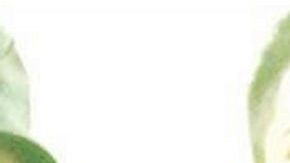 Rodolfo Palomo tardará hasta un año en recuperarse, pero tendrá secuelas