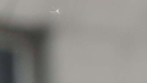 Los líderes tuvieron un diálogo telefónico.