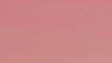 AMLO y Trump han platicado vía telefónica.