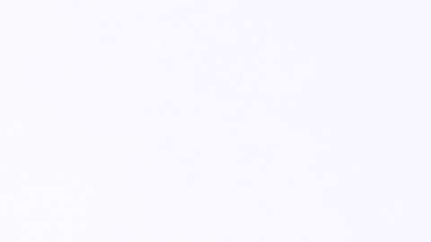 Dra. Ana María Polo