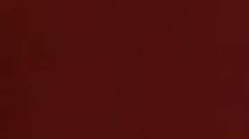 Angelique Boyer y Michel Brown protagonizan "Amar a Muerte"