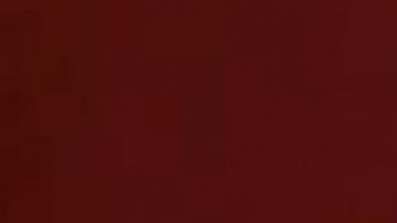 Angelique Boyer y Michel Brown protagonizan "Amar a Muerte"