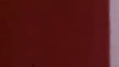 Angelique Boyer y Michel Brown protagonizan "Amar a Muerte"