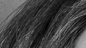 Lady Gaga protagoniza "A Star Is Born" y Tom Hardy protagoniza "Venom"