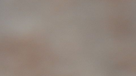 Bacon Plantain Lasagna Pastelon - 2