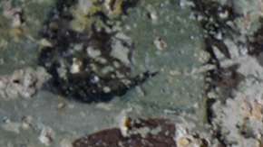 Dos cortadores de piedras en un fresco hallado en Beit Ras.