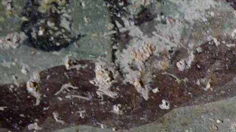 Dos cortadores de piedras en un fresco hallado en Beit Ras.