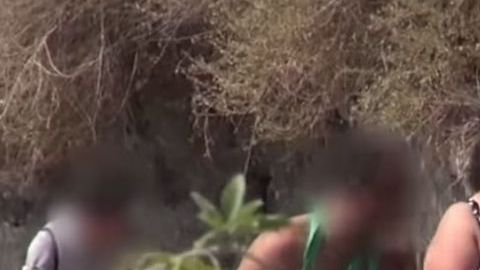 Turistas con sobrepeso a lomos de burros.