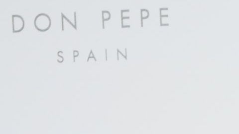 Luis Fonsi junto a su esposa Águeda López.