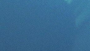 Hay dos maneras de quitar puntos de tu licencia