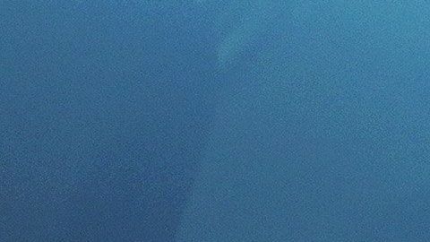 Hay dos maneras de quitar puntos de tu licencia