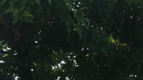 Migrantes descansan antes de emprender su caminata hacia la Ciudad de México.