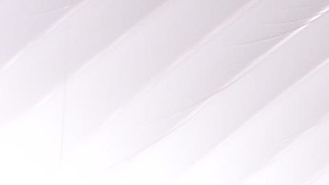 El domo del Toyota Park es sede de la Champions con un premio de $10,000 al ganador. (Javier Quiroz / La Raza)