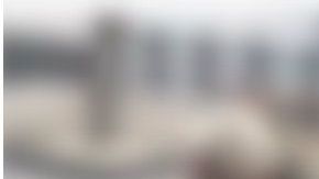 El perro no pudo contener la emoción.