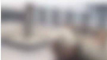 El perro no pudo contener la emoción.