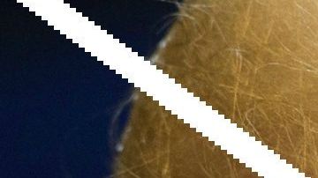 Se calcula que hay 200 localidades santuario en todo EEUU