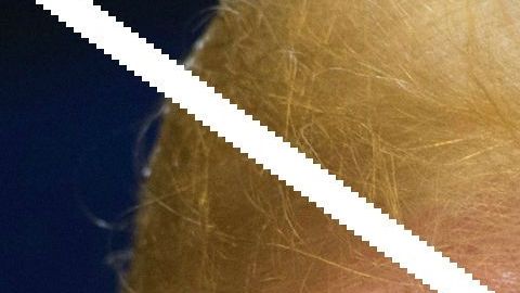 Se calcula que hay 200 localidades santuario en todo EEUU