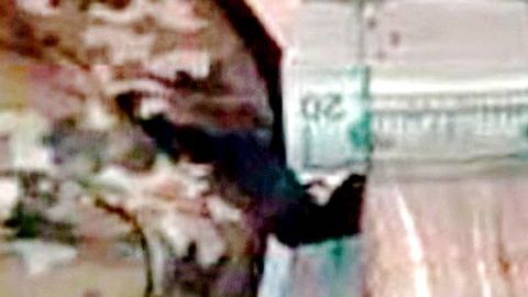 Detectan narcocréditos.