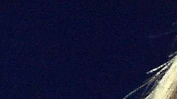 Donald Trump ya reaccionó al desplante de Taylor Swift