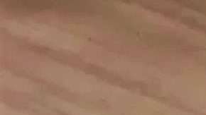 El periodista brasileño Rodrigo Genta pisó la camiseta de Boca en TV.