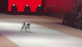 Desfile de la semana de la moda de Estambul.