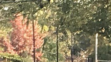 El presidente Donald Trump y la primera dama, Melania Trump, depositan flores y piedras en cada una de las estrellas colocadas en honor a las víctimas de la masacre en Pittsburgh.