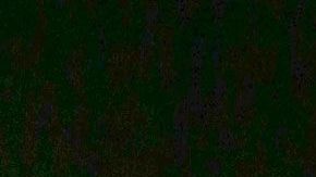 Eiza González disfrutó una fiesta de Halloween.