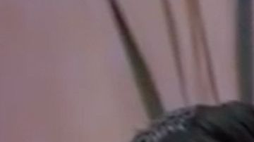 "Enamorándonos" de TV Azteca