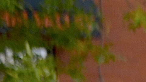 María Fiori es una sobreviviente de cáncer de seno y de otros canceres desde hace 13 años. (Belhú Sanabria / La Raza)