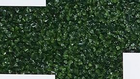 Francisca Lachapel de Despierta América.