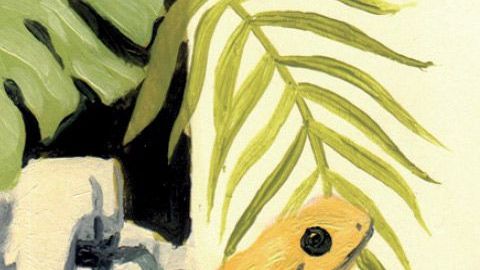 Tapa de "El escándalo del siglo" de García Márquez.