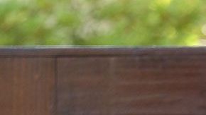 Jennifer Love Hewitt