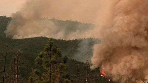 Yosemite National Park es uno de los más afectados.