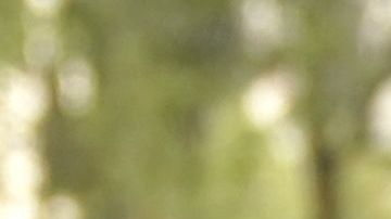 Emma Coronel ha asistido a varias audiencias de "El Chapo" en Nueva York.