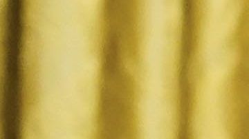 Vuelve a llamar la atención el cronograma de trabajo del presidente