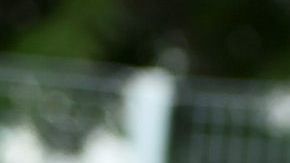 Hailey Baldwin y Justin Bieber.