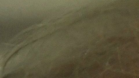 Se acercan las elecciones y con ellas la tensión entre los dos partidos