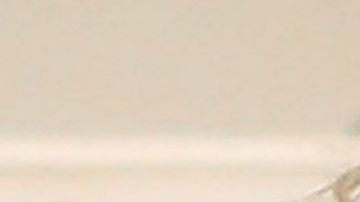 Trump dijo que en dos semanas nombraría el remplazo de Nikki Haley