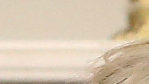 Trump dijo que en dos semanas nombraría el remplazo de Nikki Haley