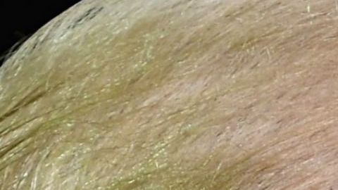 Luego de meses de arremeter contra Sessions públicamente Trump estaría listo a despedirlo