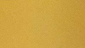 Trump y la Casa Blanca negaron los reportes del NYT