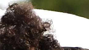 Meghan Markle, ahora conocida como la duquesa de Sussex.