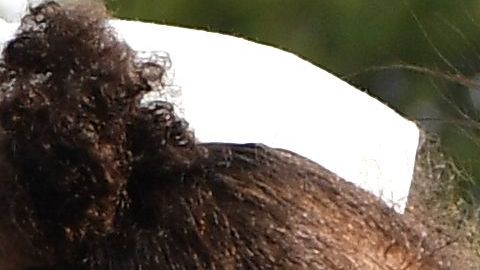 Meghan Markle será mamá.