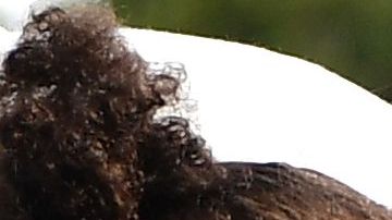 Meghan Markle será mamá.