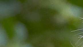 La confirmación del juez Kavanaugh se ha complicado.